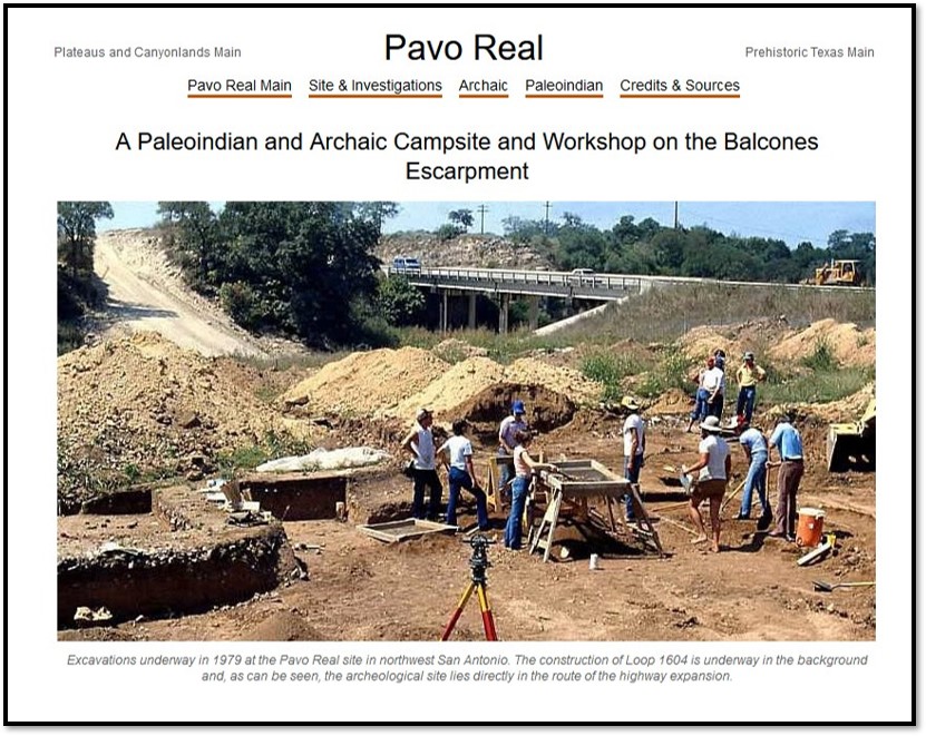 A screenshot of a webpage with a white background and a large photograph of an excavated site