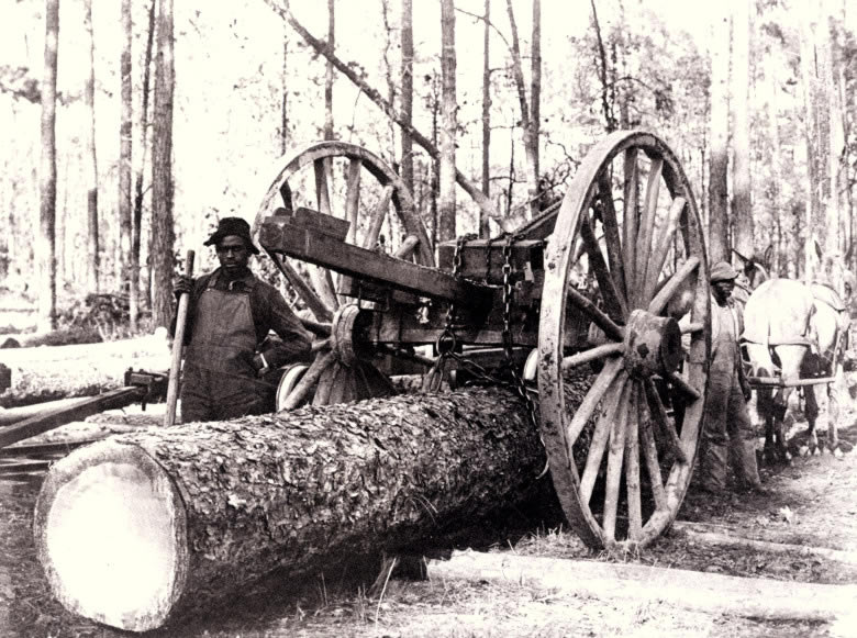 photo of a log on a cart