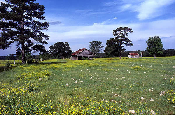 photo of old farmstead