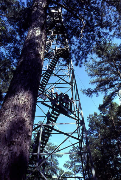photo of lookout tower