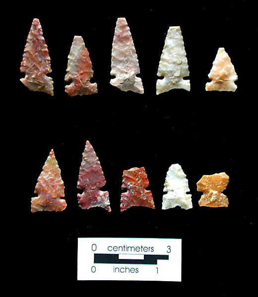 These colorful Alibates flint arrow points were made by Late Prehistoric folk who lived and hunted in the area roughly 600 to 700 years ago. Photo by Milton Bell.