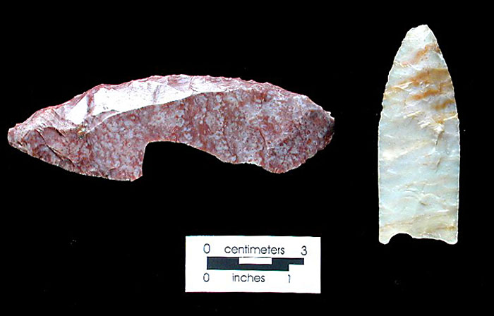 A large mottled-red cutting blade (left) and dart point of white Alibates were among artifacts found at the Plainview site. Photo by Milton Bell.