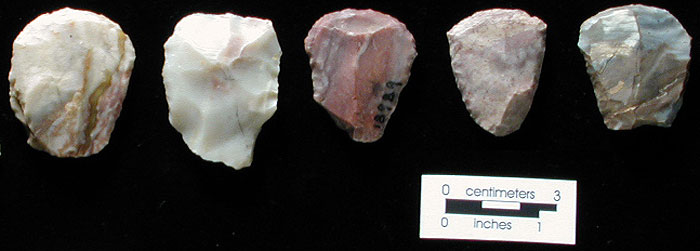 Hide-scraping and other tasks could have been accomplished with these small, steeply edged flake tools which some archeologists term "thumbnail scrapers." Photo by Milton Bell.