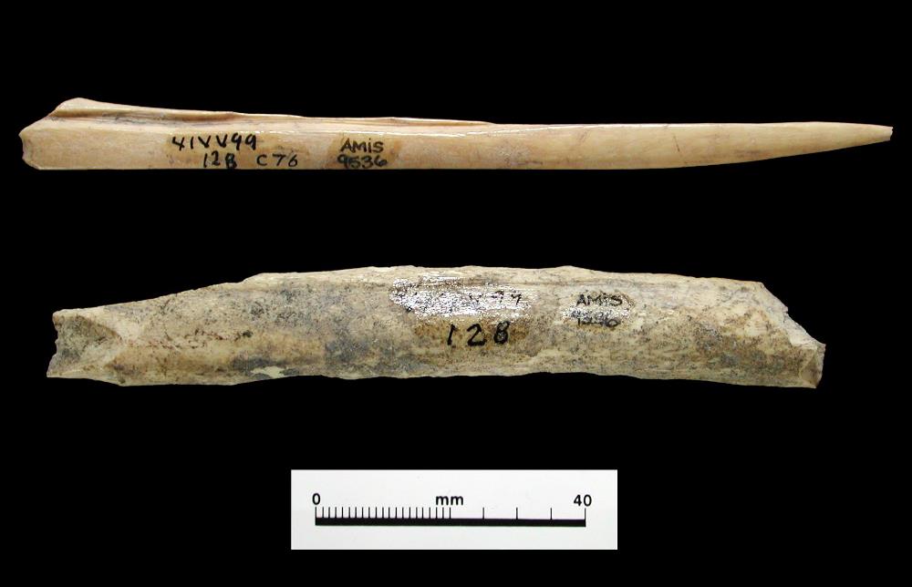Bone tools from Arenosa.