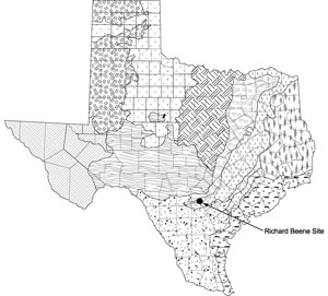 map of texas' ecological zones