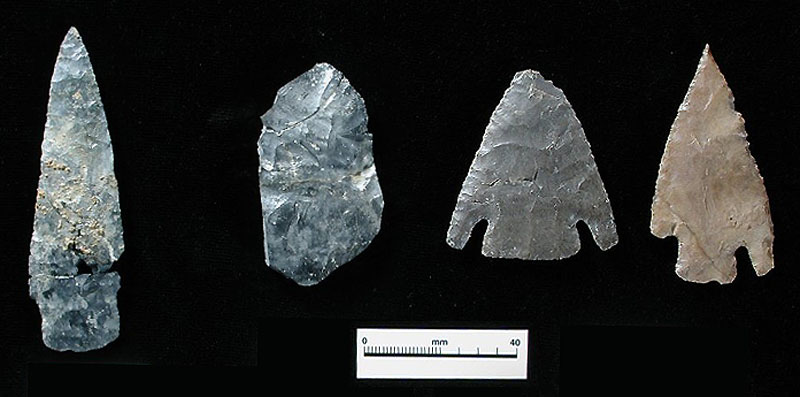 Bifaces and dart points from Bone Bed 3 showing contrast between those heavily damaged by fire (two bifaces on left) and those that remained intact (two Castroville points on right). Photo by Milton Bell.