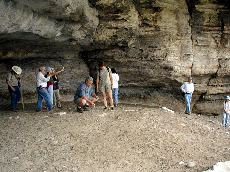 Kelly Cave was badly disturbed by relic collectors in the 1920s and 1930s. The surviving deposits contain many fragments of plant fibers, animal bones, charcoal, stone-tool-making debris, and spent cooking rocks. These traces show that the rockshelter was lived in countless times over thousands of years. 