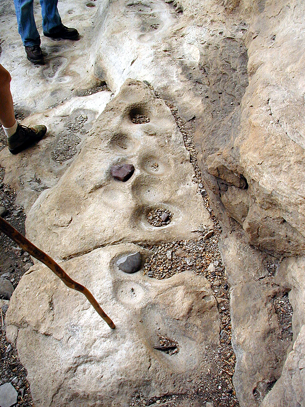 These shallow bowl-shaped depressions in the bedrock along one wall at Kelly Cave were used along with hand-held grinding stones (called manos) to pulverize seeds and nuts. 