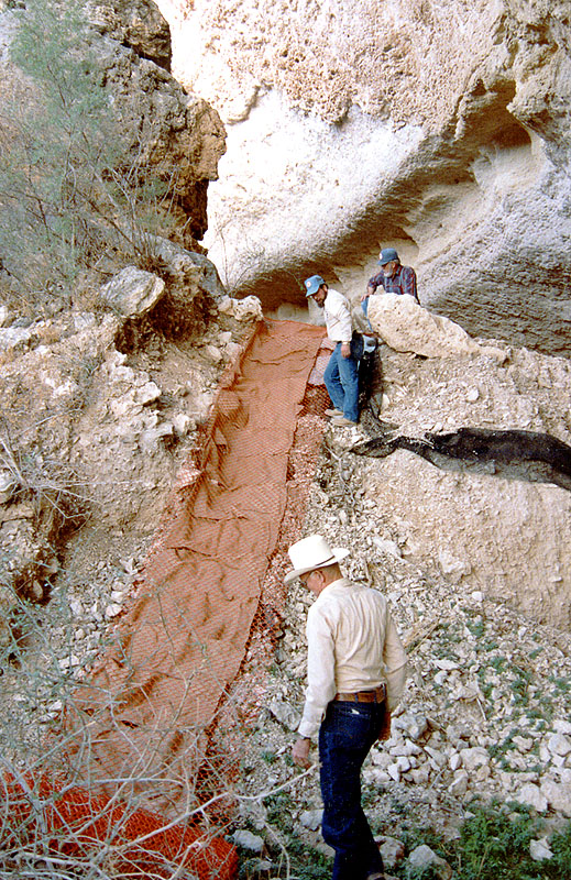 The first strip of sewn burlap covered by orange safety netting. Jack Skiles is at the bottom of the slope and Elton Prewitt and R.C. Harmon at the top.