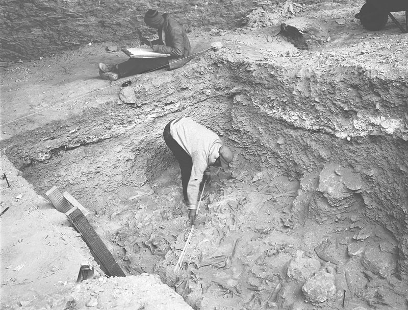 Bone Bed 2 excavation in progress in the winter of 1964. Roy Little plots the position of bones on a field map as Emilo Hinojosa CHECK calls out measurements. Photo by Dave Dibble.