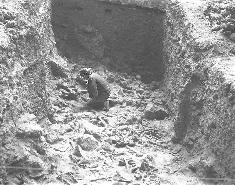 Elton Prewitt uncovering Bone Bed 2 in late 1963. Photo taken by Dave Dibble.