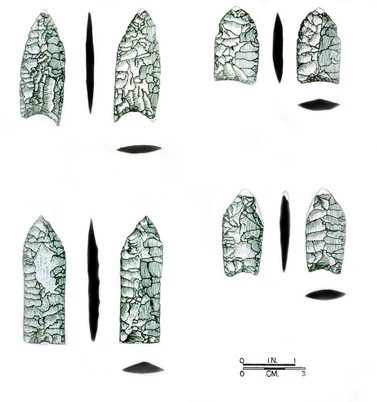 Drawings of Bone Bed 2 projectile points by Hal Story. Upper right is the possible Midland point identified by Michael Collins. Remaining specimens are Plainview points.
