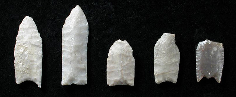 Paleoindian projectile points from Bone Bed 2; Left to right: two Plainview points, a possible Midland point, Plainview, and Folsom points