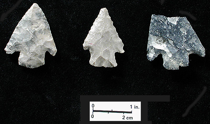 Castroville-like "Group E" dart points from Bone Bed 3. Photo by Milton Bell.