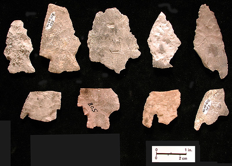 Untyped, heavily fire-damaged dart point fragments from Bone Bed 3. Photo by Milton Bell.