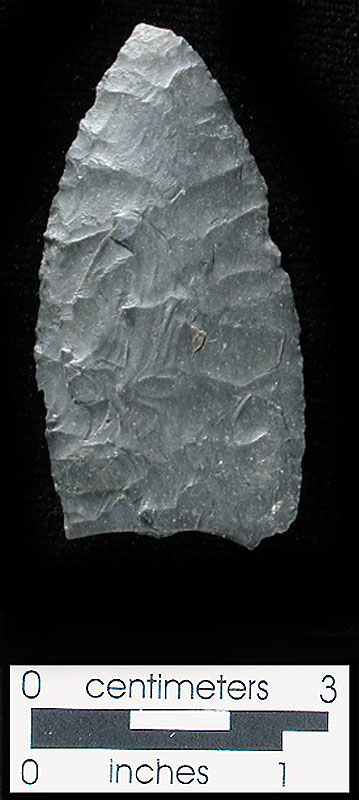 Possible Clovis point fragment from Bone Bed 2. Identification by Michael Collins. Photo by Milton Bell.