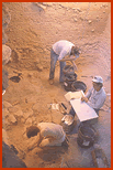 Looking down into main excavation block, early 1984 season. Archeologists exposing and plotting bone from Bone Bed 1. Photo by Jack Skiles.