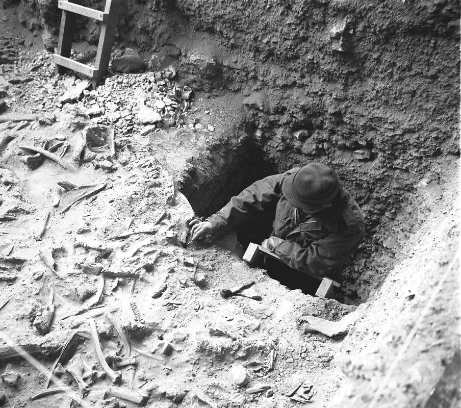 Archeologist exposes more of Bone Bed 2 in the winter of 1964. Photo probably by Dave Dibble.