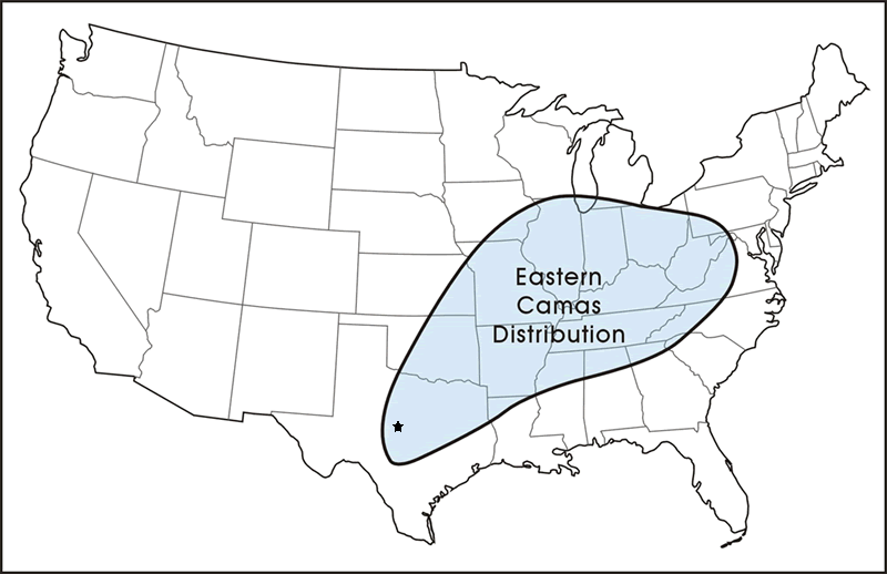 graphic of camas distribution across the US