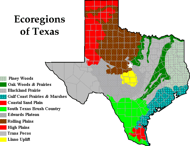 map showing the ecoregions of Texas
