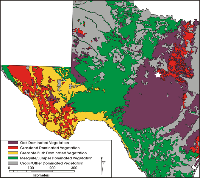 map of wood vegetation across Texas