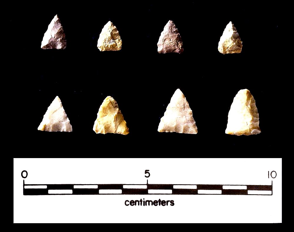 These small triangular arrow points made out of chert are known as Cameron points. Chert was not available in the Rio Grande Delta and had to be brought or traded in.