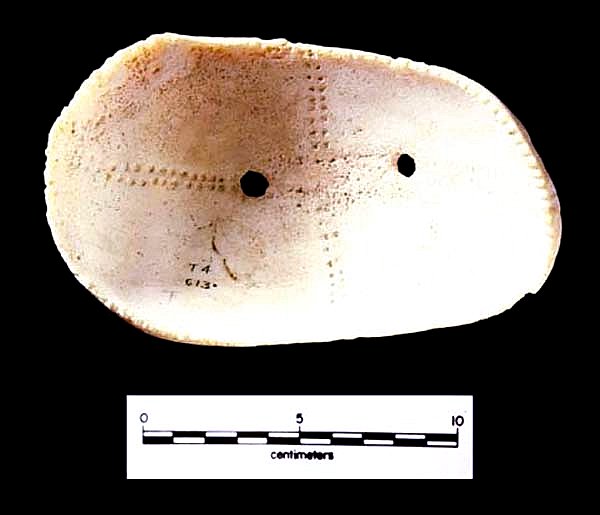 Conch shell gorget with notched edges and a cross pattern formed by half-drilled holes. Similar artifacts occur in Archaic burial contexts at inland sites.