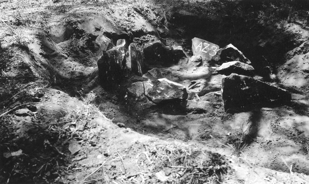 photo of Cairn-covered cist at Shackeford County site