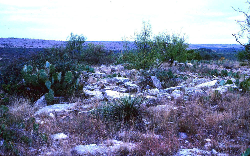 photo of rock cairn on high point, Irion County
