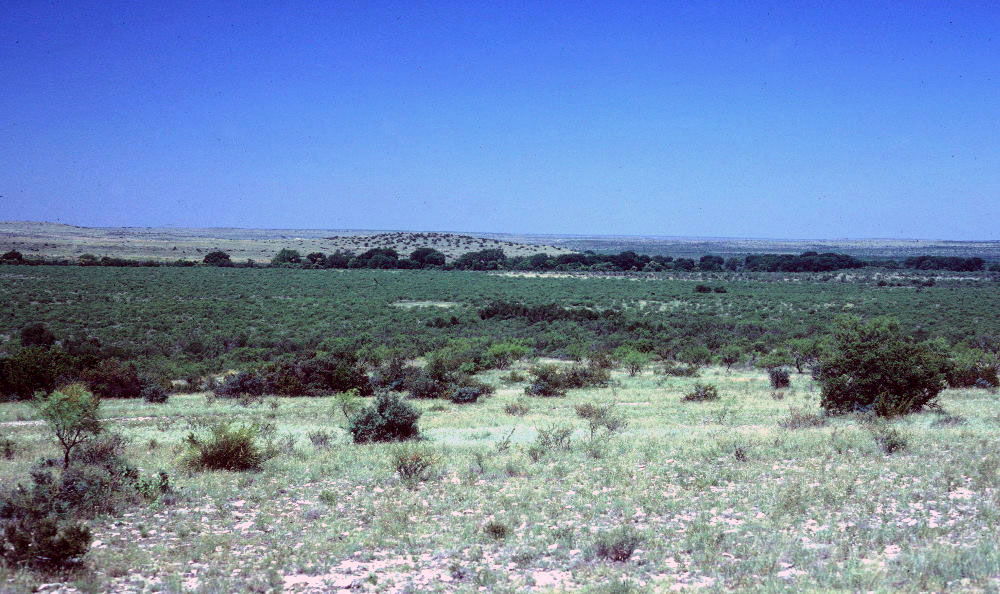 photo of vista in Irion County