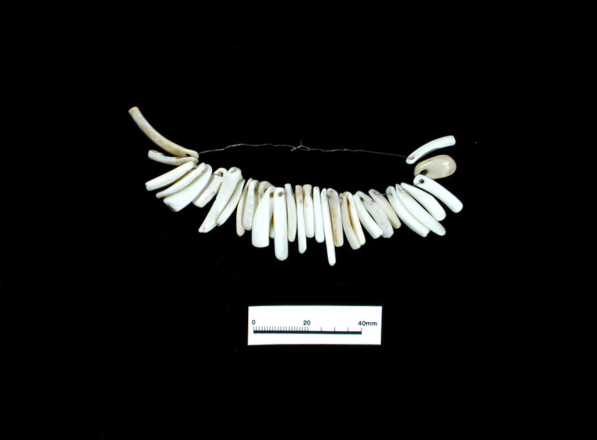 Pendant beads of exotic shell likely were acquired from the far-trading puebloan peoples of the northwest or the Hohokam to the west.