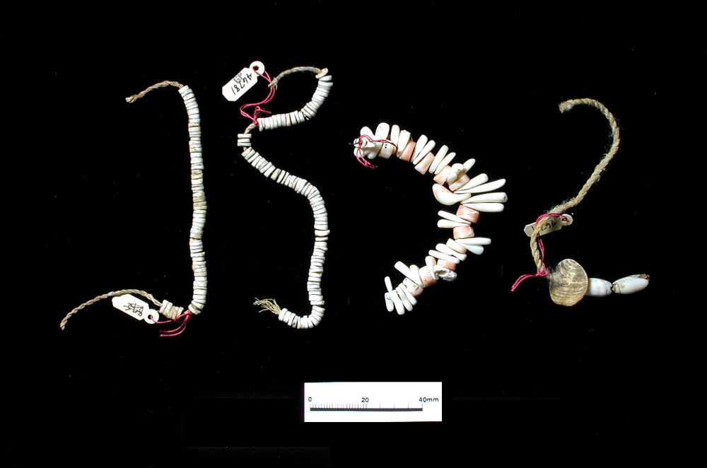 Cut-shell necklaces or bracelets were found in quantity.