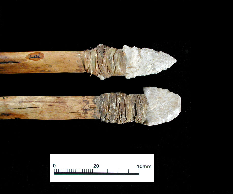Dart foreshafts, with chipped stone points still hafted to the end, are indicators of early use of the cave by hunting/gathering peoples. Whether such items were left as part of a ceremonial offering is not known. Photo by Milton Bell.