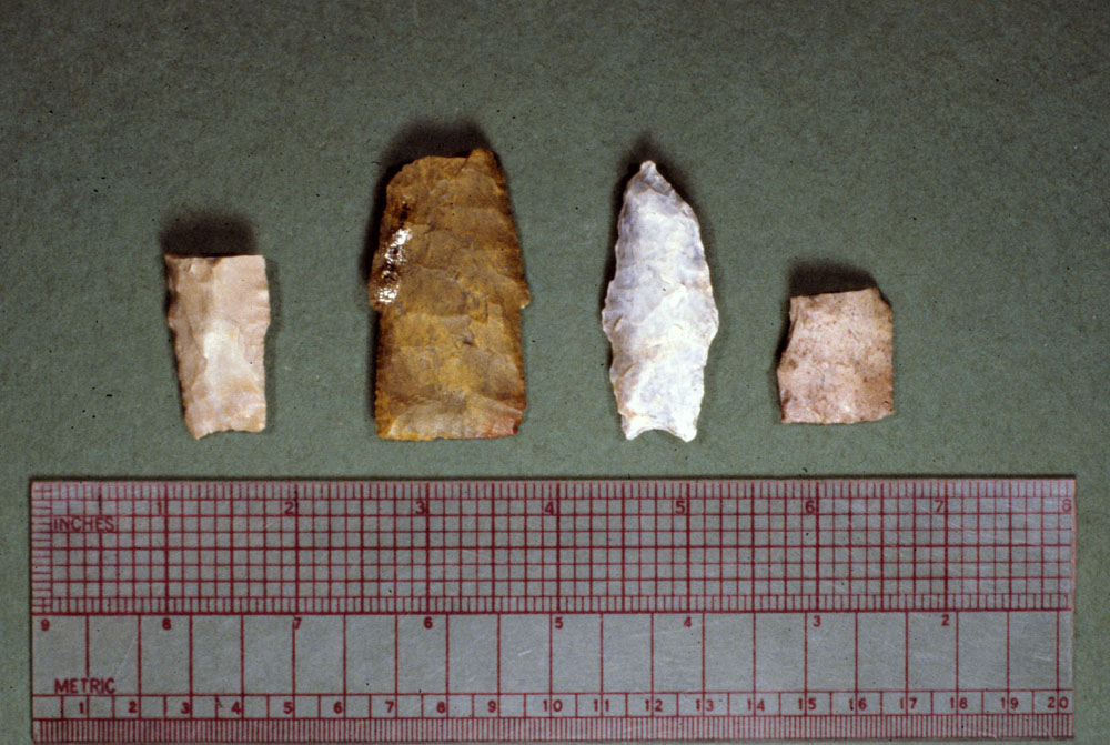 photo of paleo and early archaic artifacts