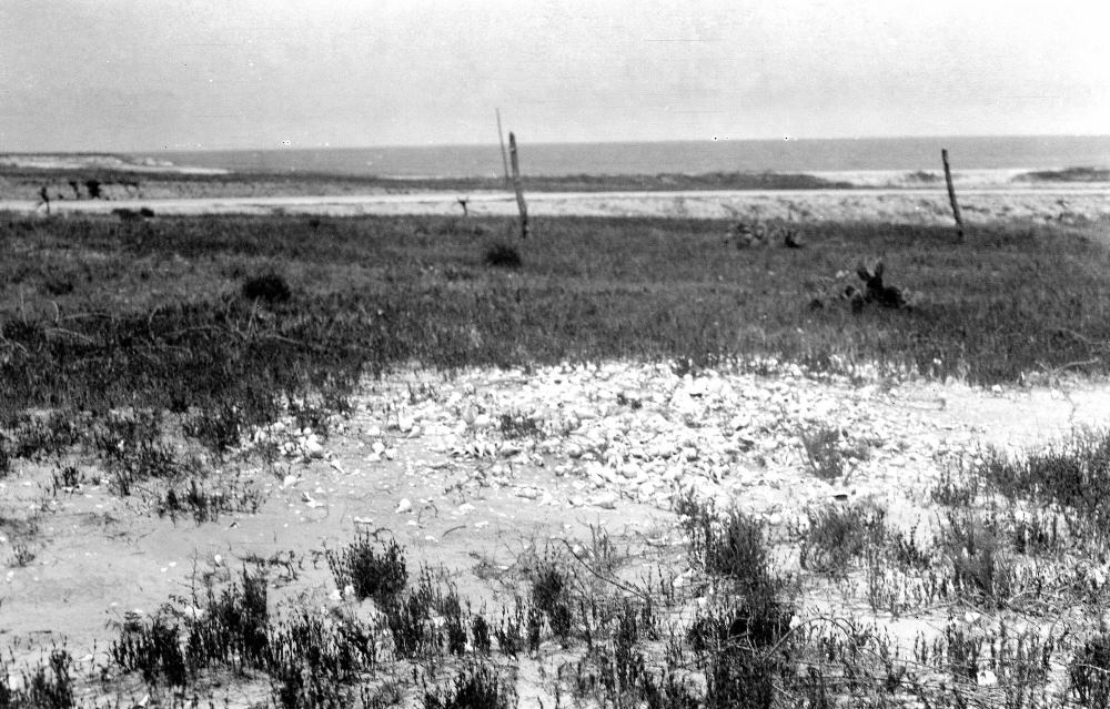 photo of Cayo del Oso site as it appeared in 1933