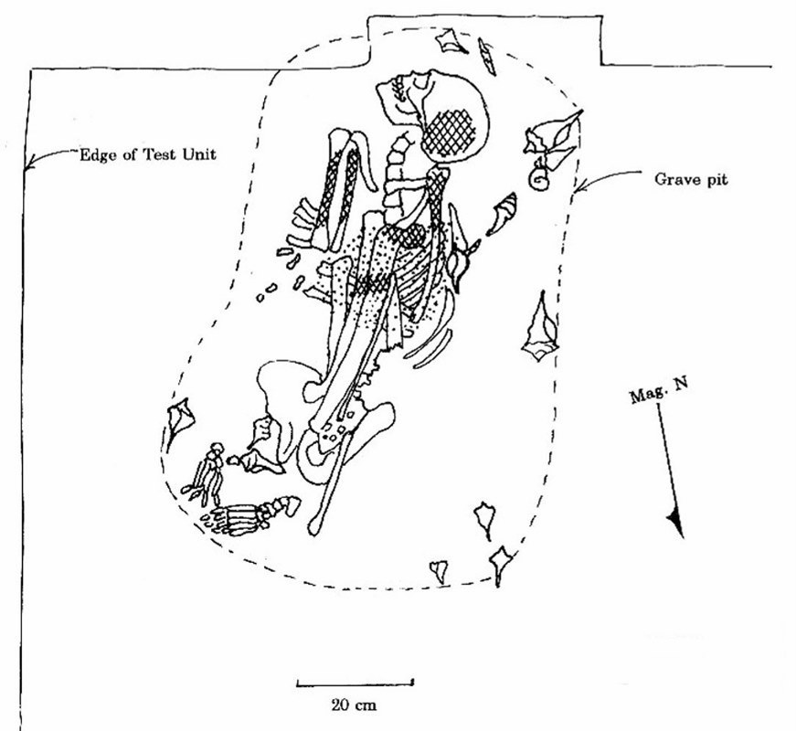 illustration of the remains of a 40 year old female uncovered by TxDOT excavations in 1996