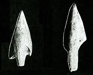 Several of the projectile points