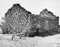 Stone houses from the eighteenth-century ranchos stood in ghostly ruin before they were submerged beneath the waters of Falcon Reservoir in the 1950s. Before the inundation, archeologists documented several sites, capturing much information that otherwise would have been lost. Photo by Jack Humphreys, from TARL archives.