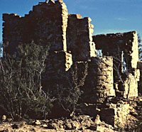 Photo of the ruins of an early house in Santander located across the Rio Grande river from the settlement of Revilla. Structure now submerged in Falcon reservoir. Photo by Jack Hughes, 1950, TARL archives.