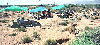Excavations in progress; the green shade tents provided welcome shade, but didn't improve the lighting for photography.