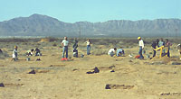 University students participate in the systematic excavation on a grid of extramural areas.