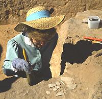 Helen Davis uncovers pottery in the fill of Room 25. The upper half of the fill of this room was a trash deposit with many artifacts.