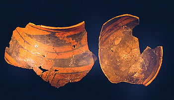 Large sherds of El Paso Polychrome, jar (left), bowl (right). The rim sherds from the site showed that jars outnumbered bowl by 4 to 1. In part this probably reflects the fact that the site was not located near any known source of water.