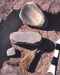 The Room 11 metates turned over along with a mano. Cached heavy tools such as these suggest that the room's occupants intended to come back and reclaim them. Perhaps the pithouse had deteriorated too much by the time they returned and the tools were buried under roof and wall collapse.