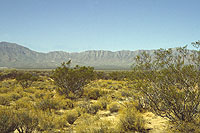 Looking west across site area toward the Franklin Mountains in the distance. With only 8 inches of annual precipitation