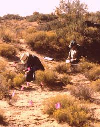 Archeological crew mapping surface artifacts as part of a highway project in the interior of the Hueco Bolson. 