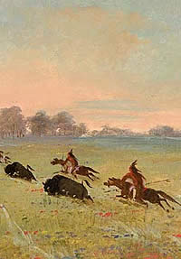 Comanches chasing buffalo