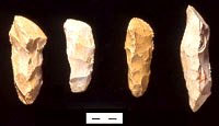 These are found predominately in Early Archaic sites along the San Antonio-Guadalupe River drainage and are especially common in Victoria and Goliad Counties.