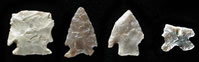 Dart points found at the Graham-Applegate site. Photo by Milton Bell.