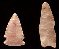 Late Paleoindian and Archaic dart points found outside House 4. Photo by Milton Bell.